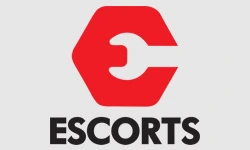 escorts